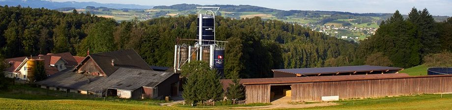 Müller Berghof